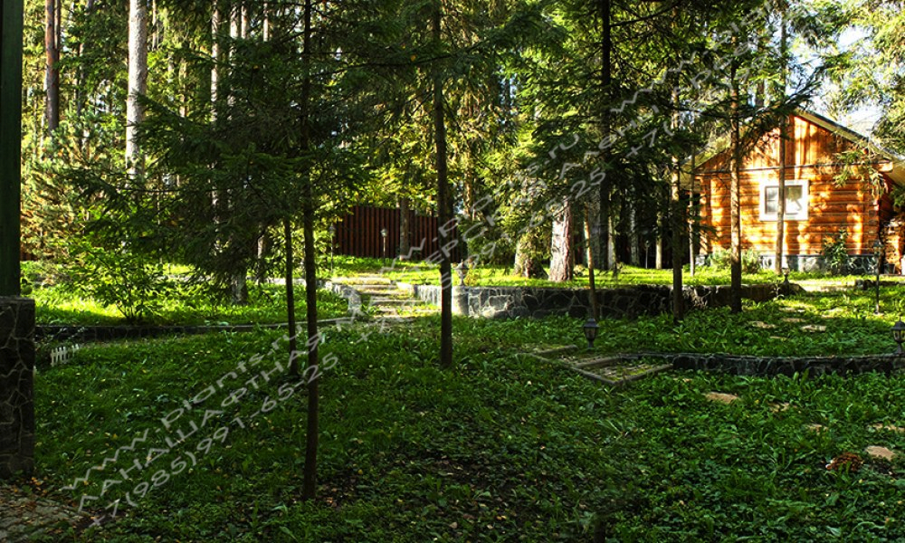 Шаговая дорожка на лесном участке